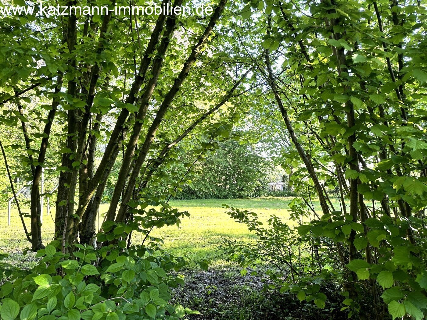 Blick vom Garten in die unverbaubare Natur