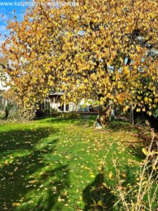 Impressionen Herbst 2023