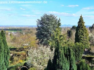 Blick vom Studio auf die Rheinebene