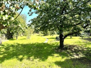Grundstück im Sommer