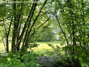 Blick vom Garten in die unverbaubare Natur