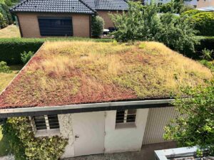 Blick auf Werkstatt u. Garage (Naturdach)